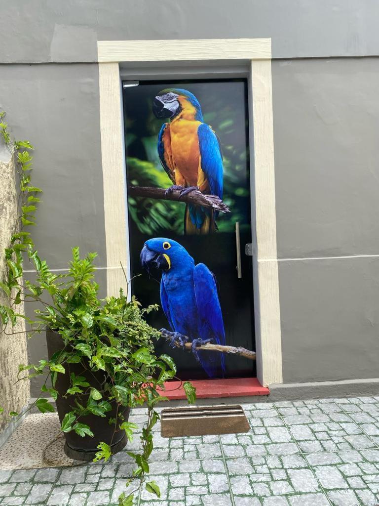 Aldeia Hostel II Manaus Kültér fotó